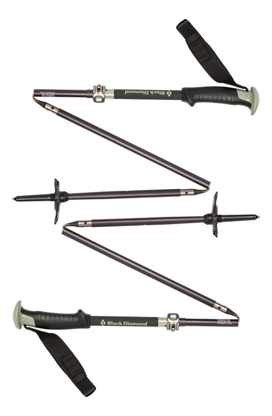 Black Diamond Compactor Ski Poles 2025