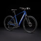 Trek Dual Sport+ 2