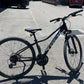 Trek Dual Sport Bike L - Used