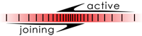 STRAIGHTLINE OVERVIEW