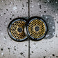 Honeycore Wheels | Black / Gold Rush