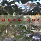 HELLA ZODIAC STICKER